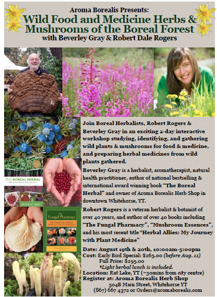 Screen Shot 2017-07-20 at 4.22.53 PM