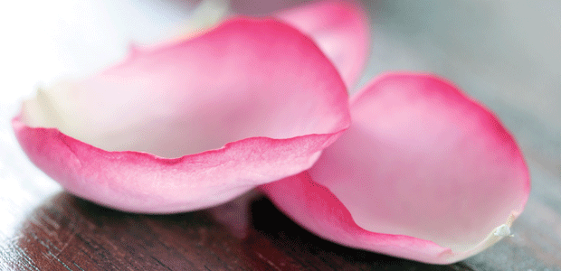 f3dec8a4f78a450418dedd793a04a42b